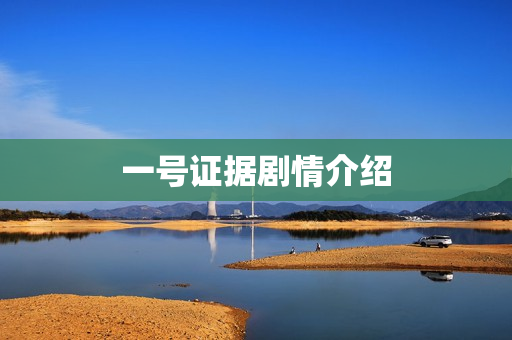 一号证据剧情介绍