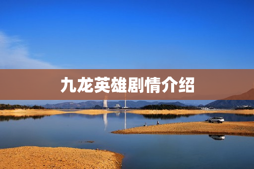 九龙英雄剧情介绍