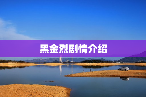 黑金烈剧情介绍