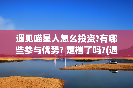 遇见喵星人怎么投资?有哪些参与优势? 定档了吗?(遇见喵星人怎么玩)