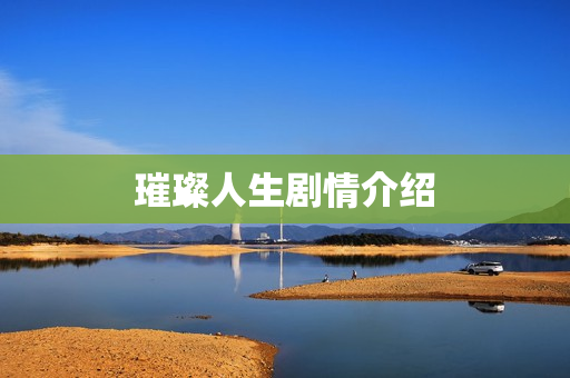 璀璨人生剧情介绍