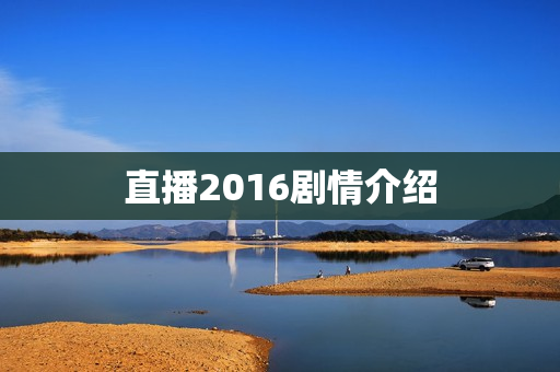 直播2016剧情介绍