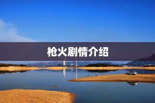 枪火剧情介绍