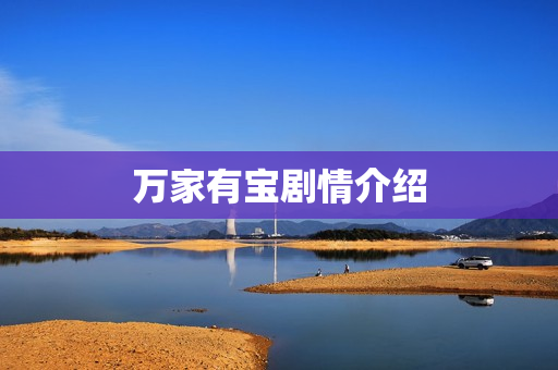 万家有宝剧情介绍