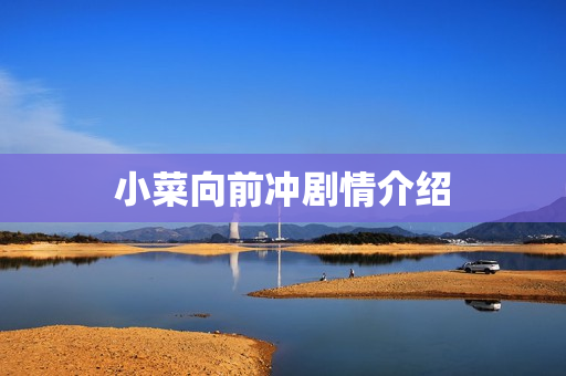 小菜向前冲剧情介绍