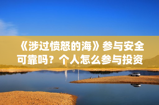 《涉过愤怒的海》参与安全可靠吗？个人怎么参与投资？(涉过愤怒的海事件原型)