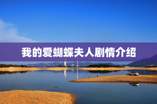 我的爱蝴蝶夫人剧情介绍