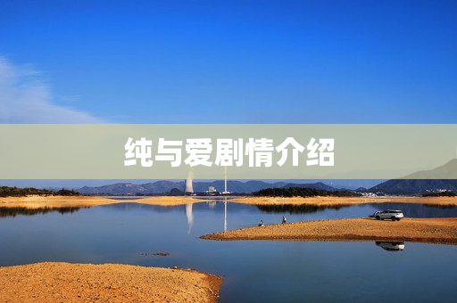纯与爱剧情介绍