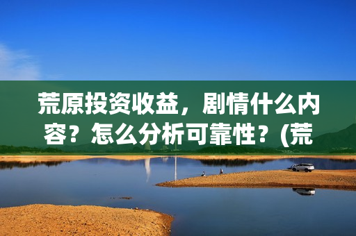 荒原投资收益，剧情什么内容？怎么分析可靠性？(荒原投资业绩排名)