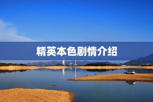 精英本色剧情介绍