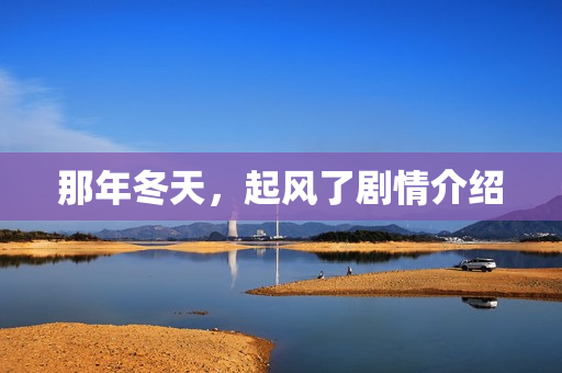 那年冬天，起风了剧情介绍