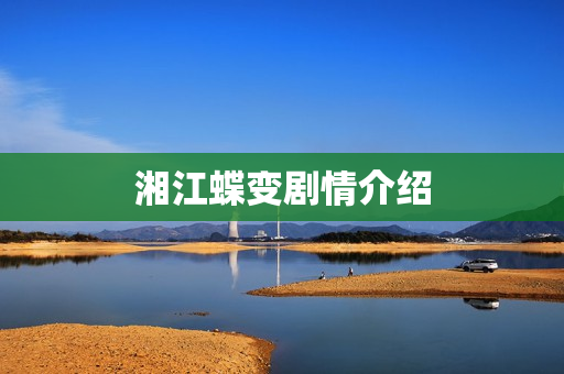 湘江蝶变剧情介绍