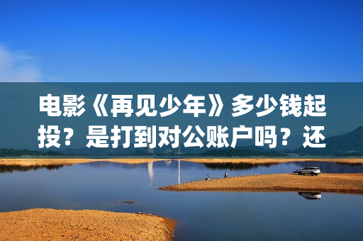 电影《再见少年》多少钱起投？是打到对公账户吗？还有投资份额吗？(再见少年电影啥意思)