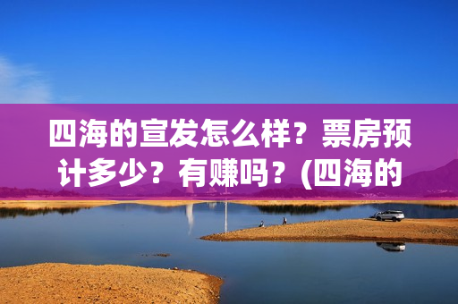 四海的宣发怎么样？票房预计多少？有赚吗？(四海的含义)