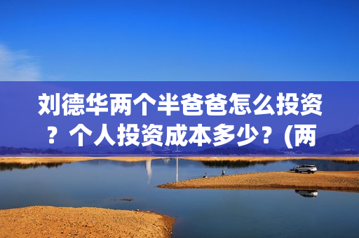 刘德华两个半爸爸怎么投资？个人投资成本多少？(两个刘德华湖南卫视)