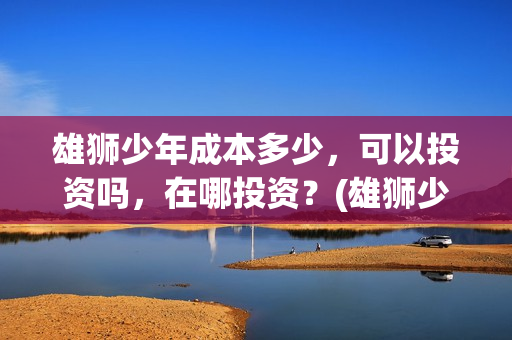 雄狮少年成本多少，可以投资吗，在哪投资？(雄狮少年卖点)