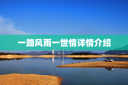 一路风雨一世情详情介绍