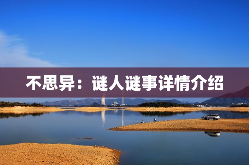 不思异：谜人谜事详情介绍