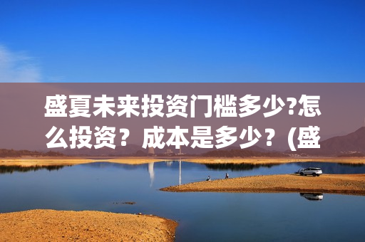 盛夏未来投资门槛多少?怎么投资？成本是多少？(盛夏未来发行公司)