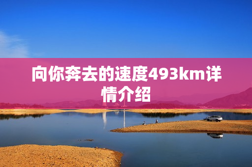 向你奔去的速度493km详情介绍