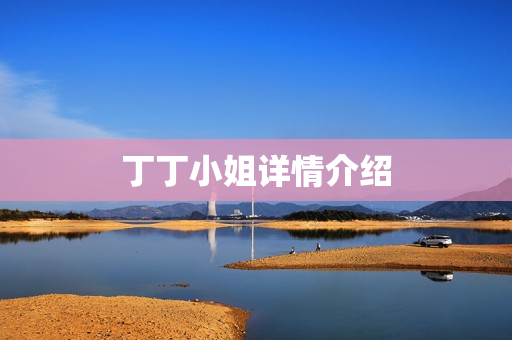 丁丁小姐详情介绍