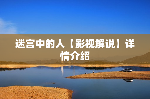 迷宫中的人【影视解说】详情介绍