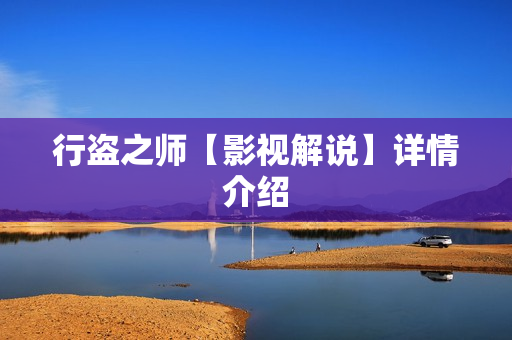 行盗之师【影视解说】详情介绍