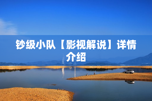 钞级小队【影视解说】详情介绍