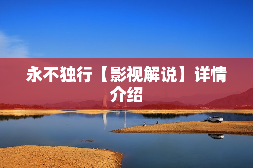 永不独行【影视解说】详情介绍