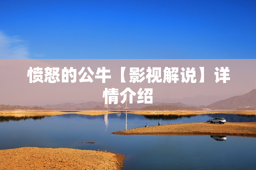 愤怒的公牛【影视解说】详情介绍