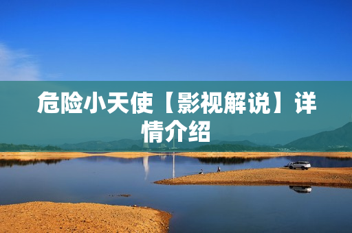 危险小天使【影视解说】详情介绍