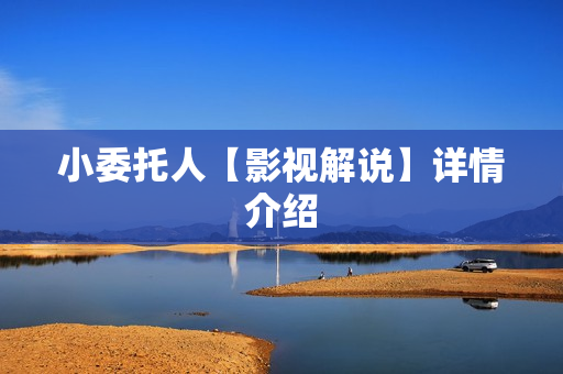 小委托人【影视解说】详情介绍