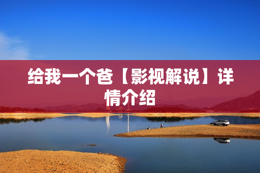 给我一个爸【影视解说】详情介绍