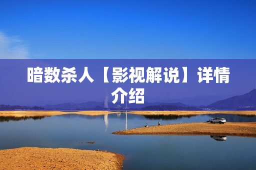 暗数杀人【影视解说】详情介绍