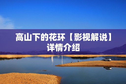 高山下的花环【影视解说】详情介绍