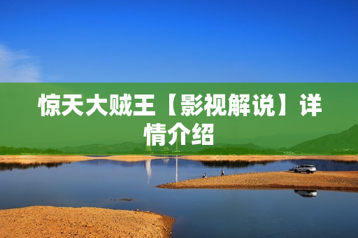 惊天大贼王【影视解说】详情介绍