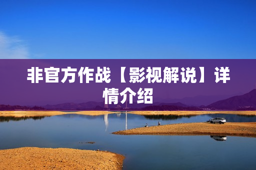 非官方作战【影视解说】详情介绍