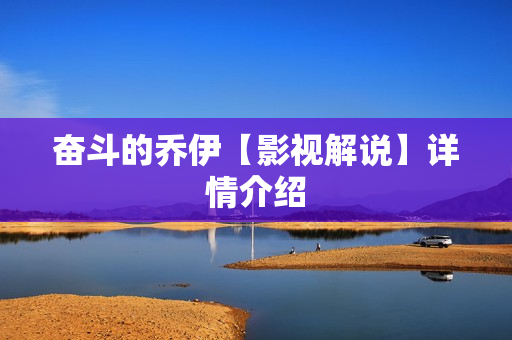 奋斗的乔伊【影视解说】详情介绍