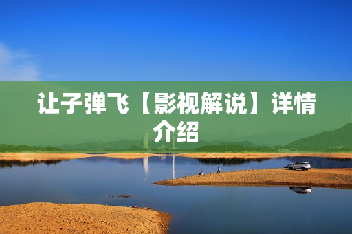 让子弹飞【影视解说】详情介绍