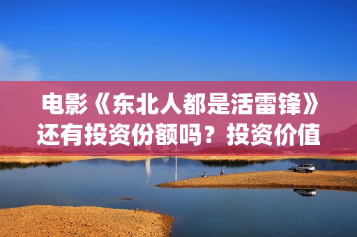 电影《东北人都是活雷锋》还有投资份额吗？投资价值怎么样？(看一下东北人)