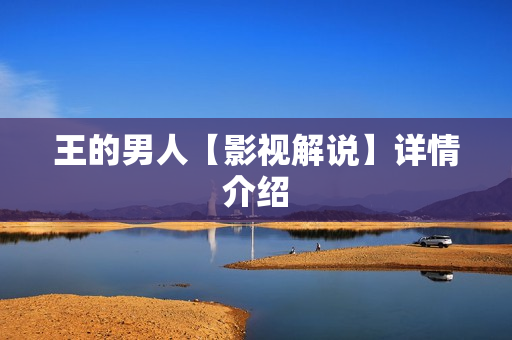 王的男人【影视解说】详情介绍