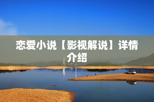 恋爱小说【影视解说】详情介绍