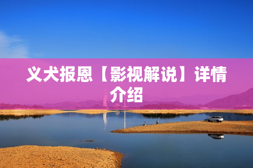 义犬报恩【影视解说】详情介绍