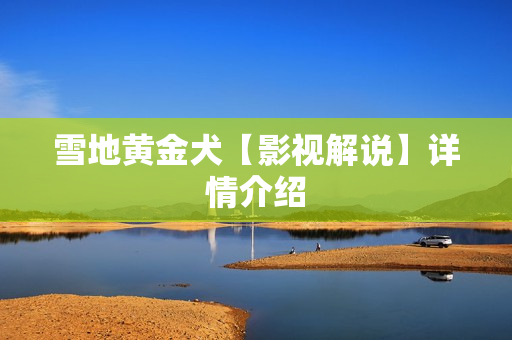 雪地黄金犬【影视解说】详情介绍