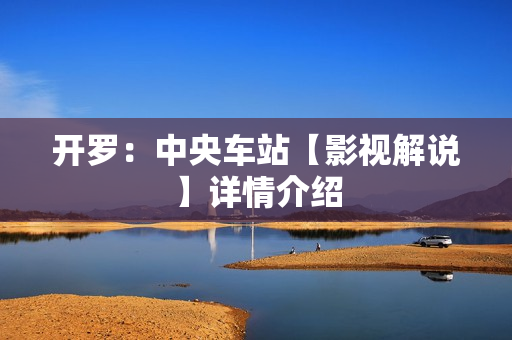 开罗：中央车站【影视解说】详情介绍