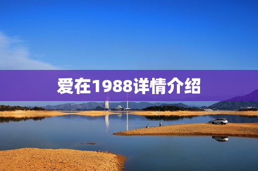 爱在1988详情介绍