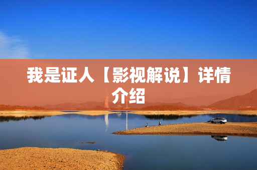 我是证人【影视解说】详情介绍