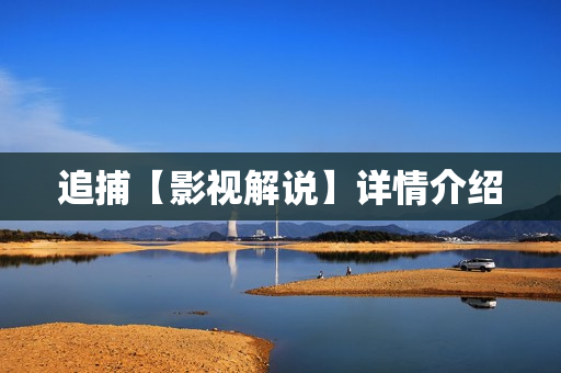 追捕【影视解说】详情介绍