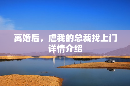 离婚后，虐我的总裁找上门详情介绍