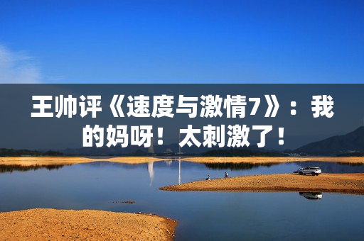 王帅评《速度与激情7》：我的妈呀！太刺激了！